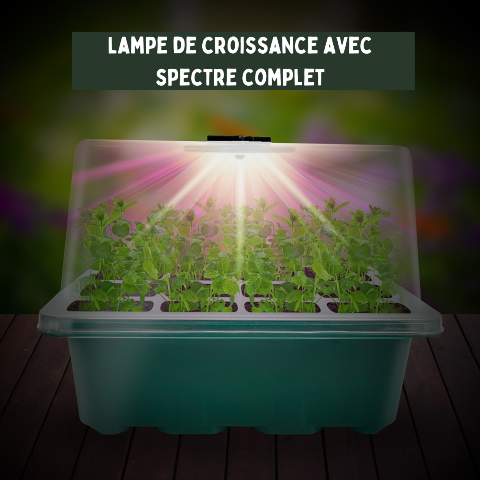 Boîte de plateau de démarrage de graines avec 2 LED élèvent la lumière Pot  de pépinière semis Germination planteur Ventilation humidité 12 cellules
